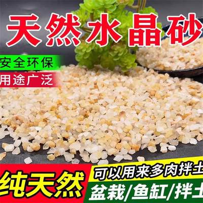 天然水晶砂粗河沙养花多肉