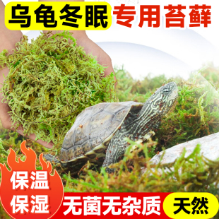 乌龟冬眠干苔藓爬宠专用苔藓冬眠 窝青苔智利水苔椰土椰砖专用土