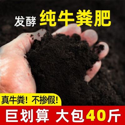 纯牛粪高温酵粪有机肥料养花通用型植物肥料种菜专用肥牛粪农家肥