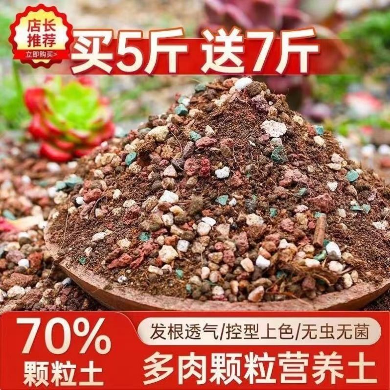 颗粒土多肉专用植物营养土进口小颗粒鸽子铺面石小苗多肉通用型