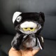 我是挂件ZOA毛绒玩偶衣服志龙同款 娃娃斗篷系列猫咪鲨鱼炫酷潮萌