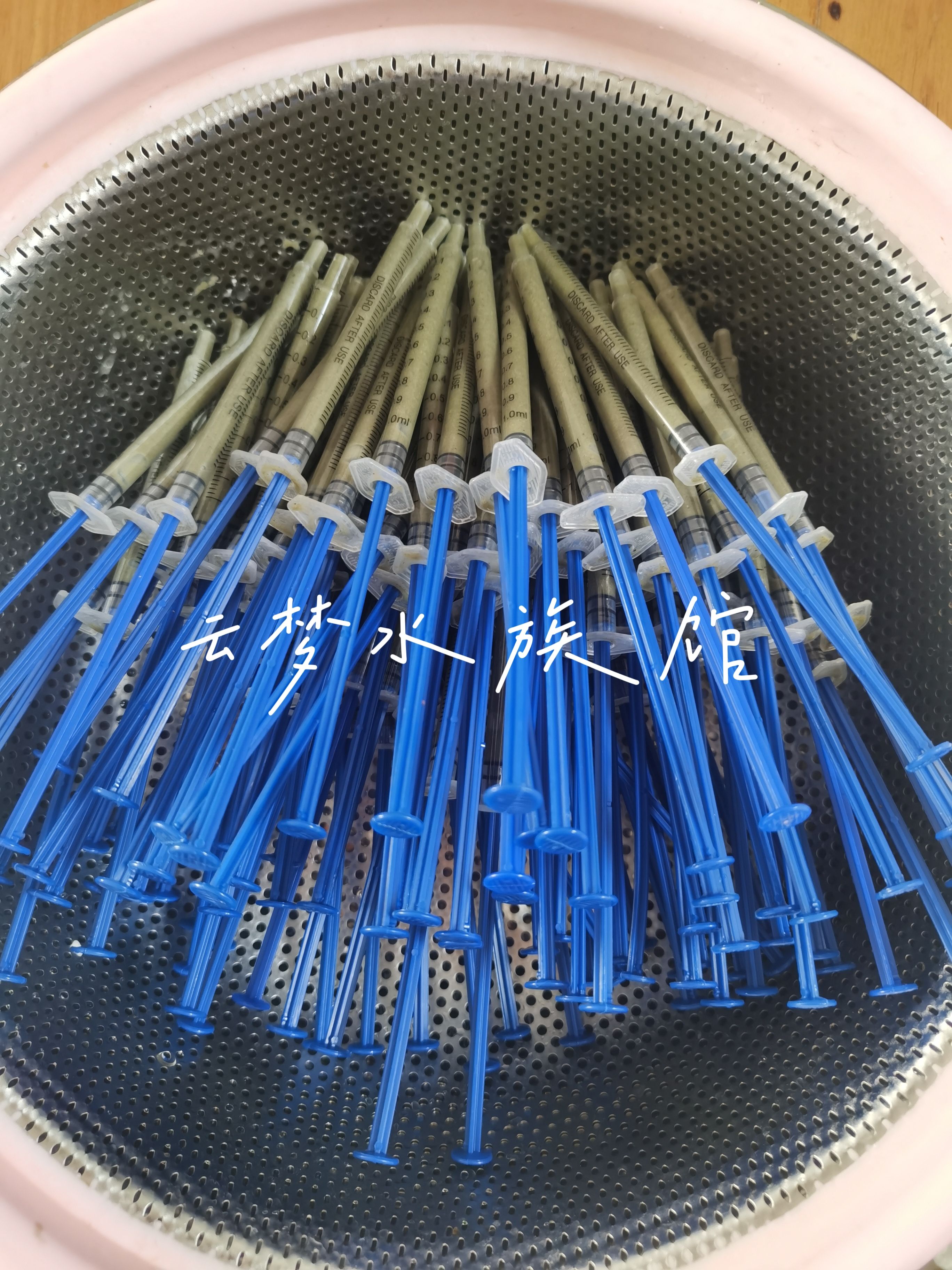 小丑鱼鲜粮小型海水鱼珊瑚通用湿粮促产卵提高卵质量促生长鱼粮