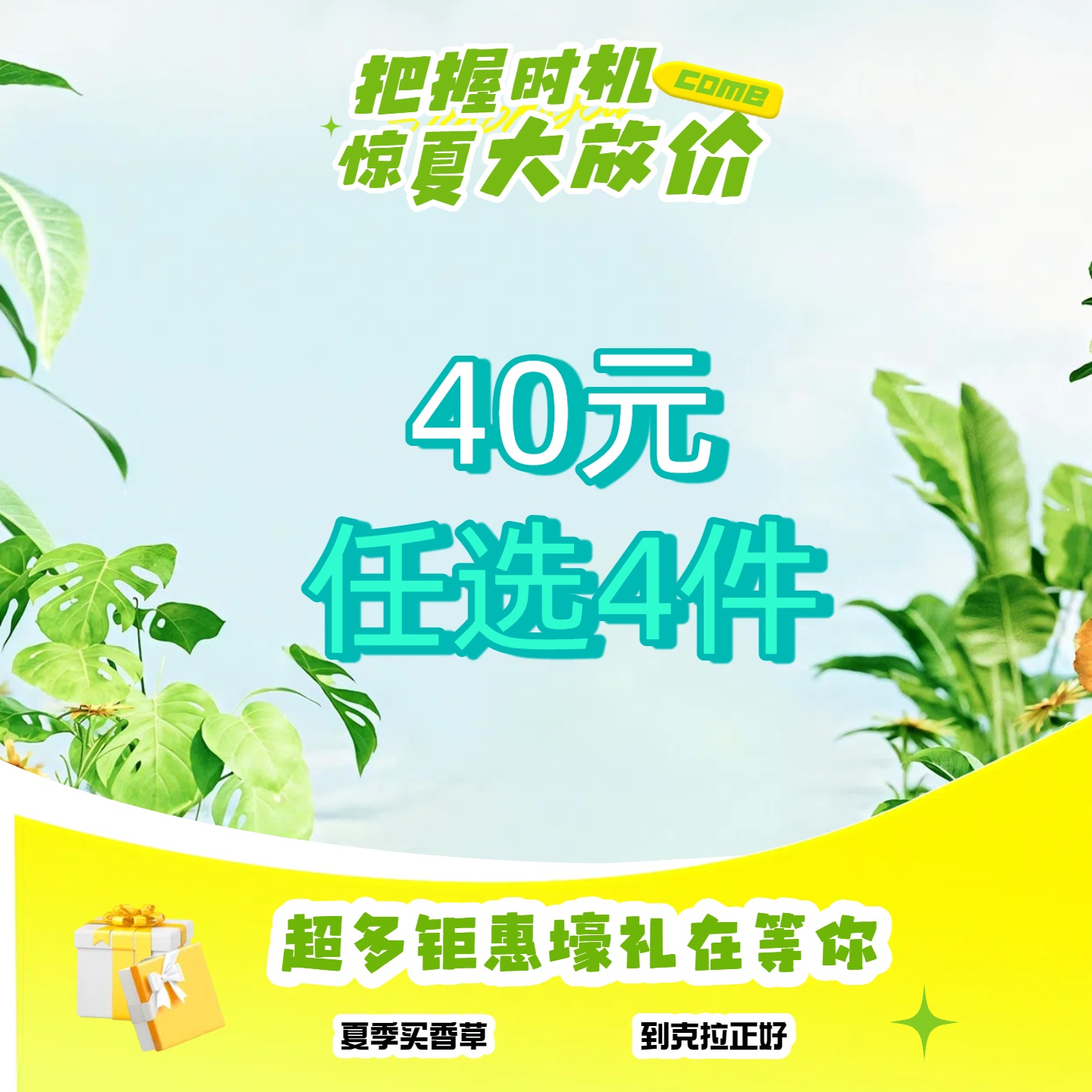 克拉香草薄荷苗迷迭香百里香罗勒香茅甜叶菊鼠尾草牛至食用新鲜