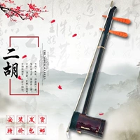 Erhu Nhạc cụ Zero Foundation Người mới bắt đầu Giới thiệu chung Người lớn Trình diễn Chuyên nghiệp Trực tiếp Nhạc cụ Quốc gia - Nhạc cụ dân tộc sáo