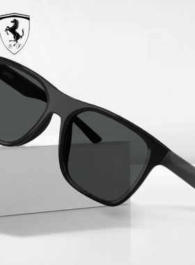 【Ferrari】法拉利0FZ6013D休闲时尚男款新潮复古太阳眼镜