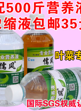 儒风无土栽培水培水耕阳台基质
