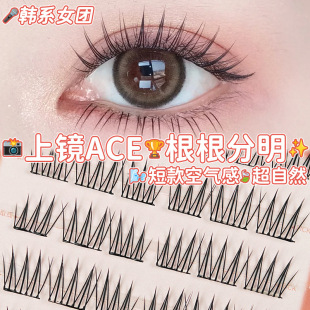 短款免胶自粘ACE韩系女团爱豆同根根分明日常自然仿真假睫毛批发