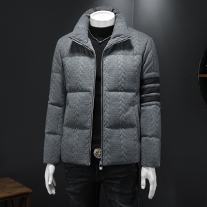 2025秋冬装90%绒立领羽绒服男 钱塘6006-5310-P310 假模图图片