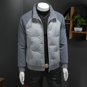 2025秋冬装90%绒立领羽绒服男 钱塘6006-5565-P295 假模图图片