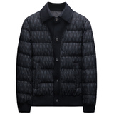 2025秋冬装新款90绒针织领羽绒服男钱塘6006-7203-P310沙发图，男装羽绒服，钱塘6006(原3029)