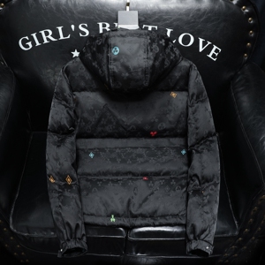 2025秋冬装90%绒连帽羽绒服男 钱塘6006-5527-P350 沙发图图片