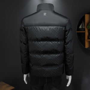 2025秋冬装90%绒立领羽绒服男 钱塘6006-5115-P330 假模图图片