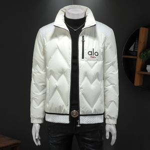 2025秋冬装90%绒麦穗拼接羽绒服男 钱塘6006-5125-P320 假模图图片