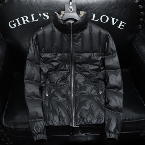 2025秋冬装刺绣90%绒立领羽绒服男 钱塘6006-5101-P320 沙发图图片
