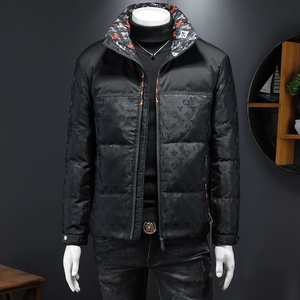 2025秋冬装新款拼接立领羽绒服男 钱塘6006-9988-P310 假模图图片