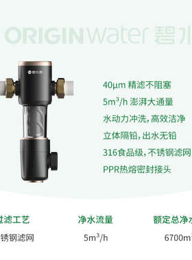 碧水源F5000C2前置过滤器