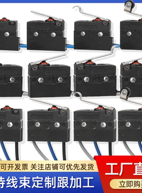 IP67防水中微动开关通孔5A叉车液压升降开关DC1/D2SW线束端子加工