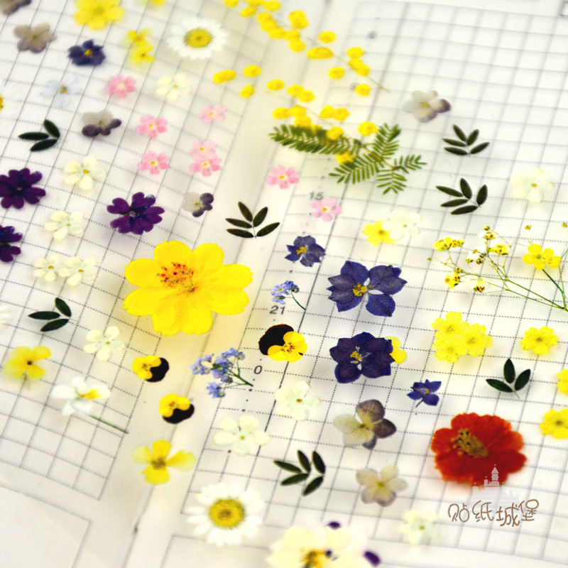 韩国sonia贴纸花朵绿叶花瓣手帐账小可爱装饰pvc防水杯子贴画