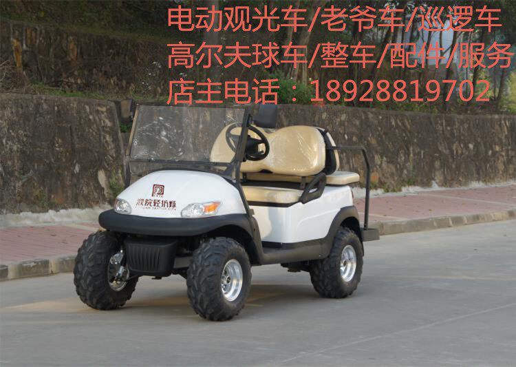 租赁卓越朗晴益高观光巡逻车