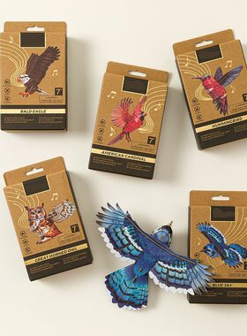 跨境新款 Bird Assembly Kit 鸟类组装套件DIY纸板模型套件折纸