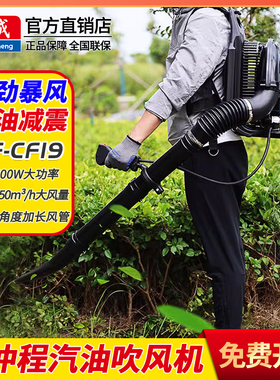 东成汽油吹风机FF-CF20背负式二冲程吹雪机灭火器马路吹尘暴风机