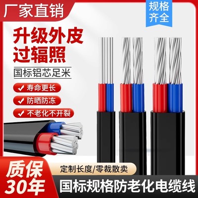 国标辐照加强款2芯电缆线铝电线