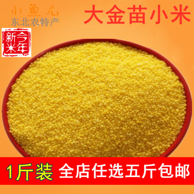 小米500g东北黄小米农家自产满