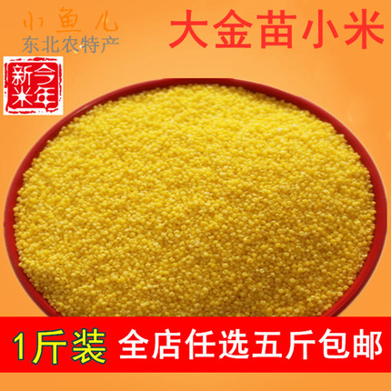 小米500g 东北黄小米小黄米农家月子米 杂粮小米粥满包邮