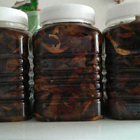 720克野生牛肝菌农家云南特产