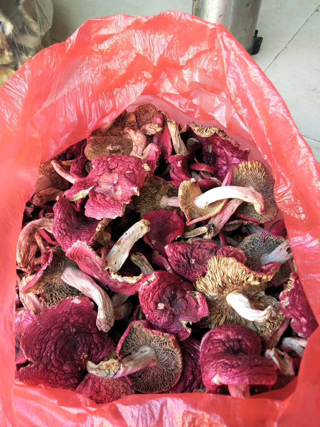 500克包邮云南土特产野生正宗大红菇干货云南大红菌蘑菇煲汤食菌