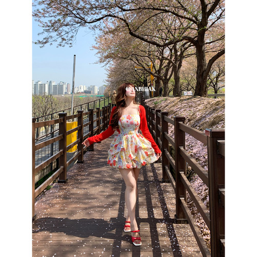 安妮不火 100%棉油画印花高腰花苞连衣裙女微胖大码渡假风两件套