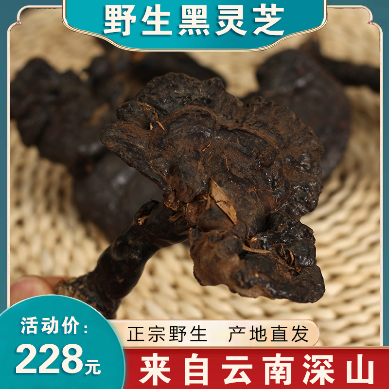 野生黑灵芝云南特产深山整枝野生紫灵芝干货正品泡酒灵芝茶250克
