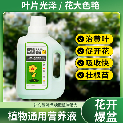 营养液植物通用型花肥料水培盆栽