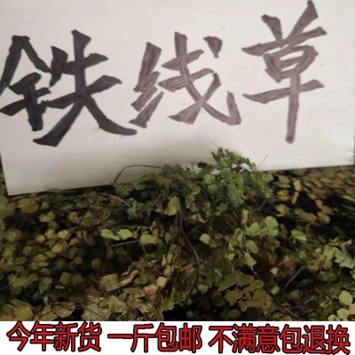 冷背中药材铁线草 猪鬃草铁 线蕨干品500g包邮新货颜色好新品推荐