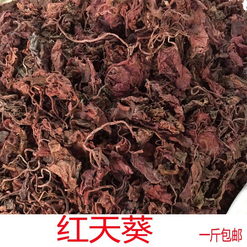 中药材新款 红天葵 紫背老虎叶500g包邮野生散血子实物拍摄夜渡红
