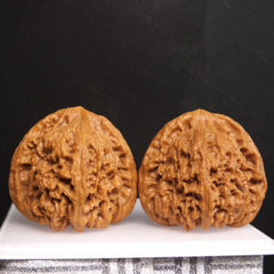 虎过庄老树南疆石44精品高成熟度炮弹桩