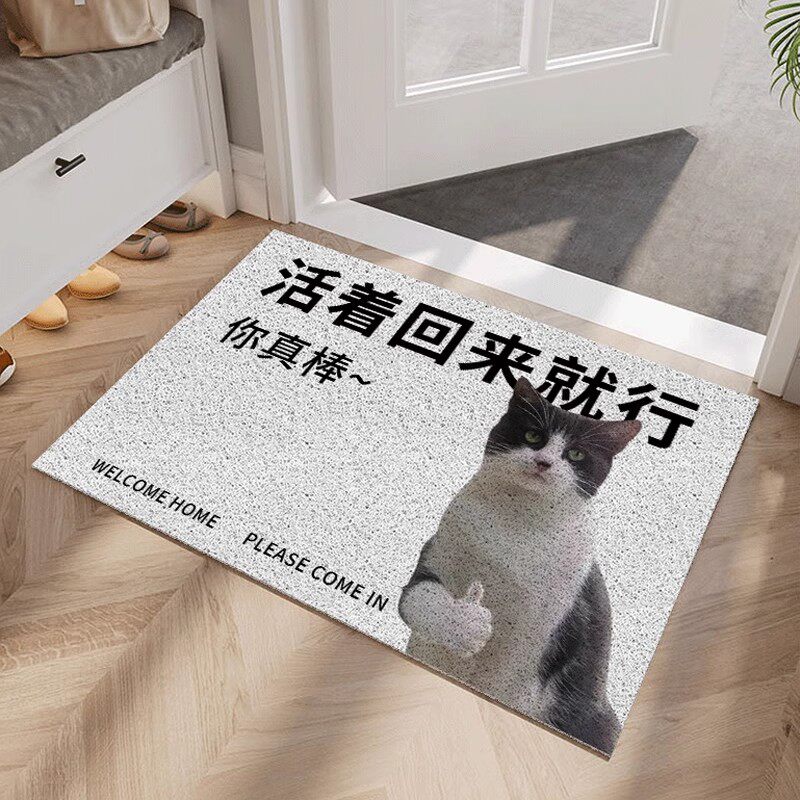 活着回来就行地毯国家一级保护废物入户门垫玄关丝圈耐脏pvc脚垫,居家布艺,家用脚垫,淘宝优惠券,粉丝福利购,淘宝优惠卷