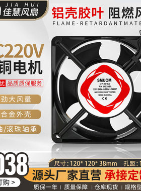 12CM 12038 小型散热风扇 120*120*38 110V 220V 380V铜芯耐高温