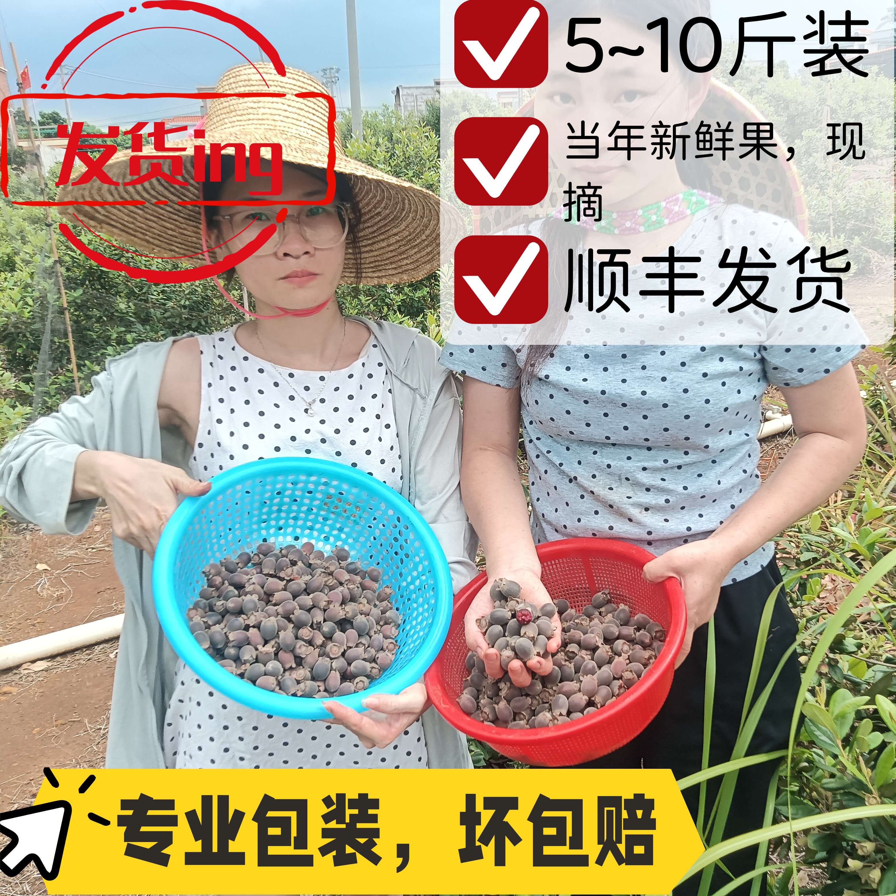 (10斤装2026年新鲜果)顺丰山捻子果新鲜野生桃金娘果广东岗稔子