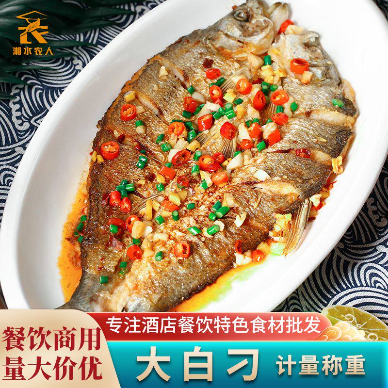 冰鲜大白刁大刁子鱼白丝鱼腌制冷冻翘嘴鱼酒店特色菜商用食材批发