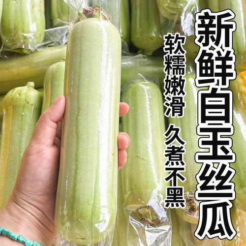 湖南白玉丝瓜新鲜现摘现发农家自种湘菜食材产地直供包邮批发蔬菜