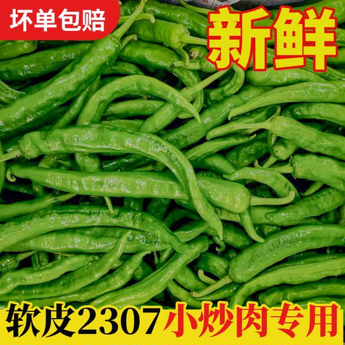 湖南小炒肉专用2307辣椒新鲜螺丝椒青椒软皮微辣湘菜馆酒饭店食材