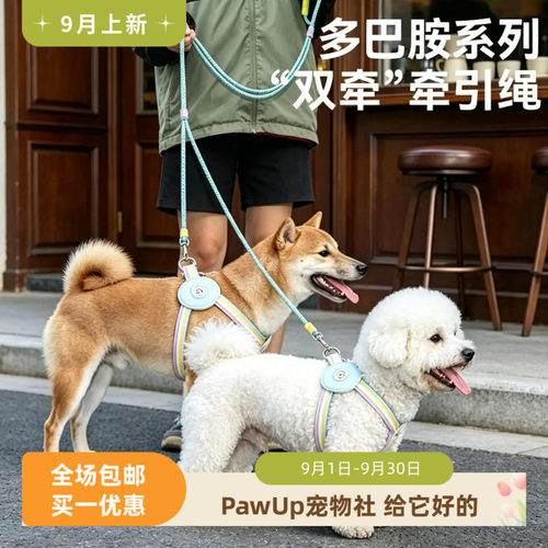 一拖二牵引绳狗狗p绳防缠绕小狗小型中型犬两只双狗双头遛狗绳子