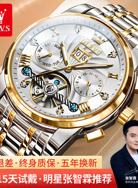 瑞士欧利时男士手表男款名品牌全自动机械表镂空防水男腕表S-9910