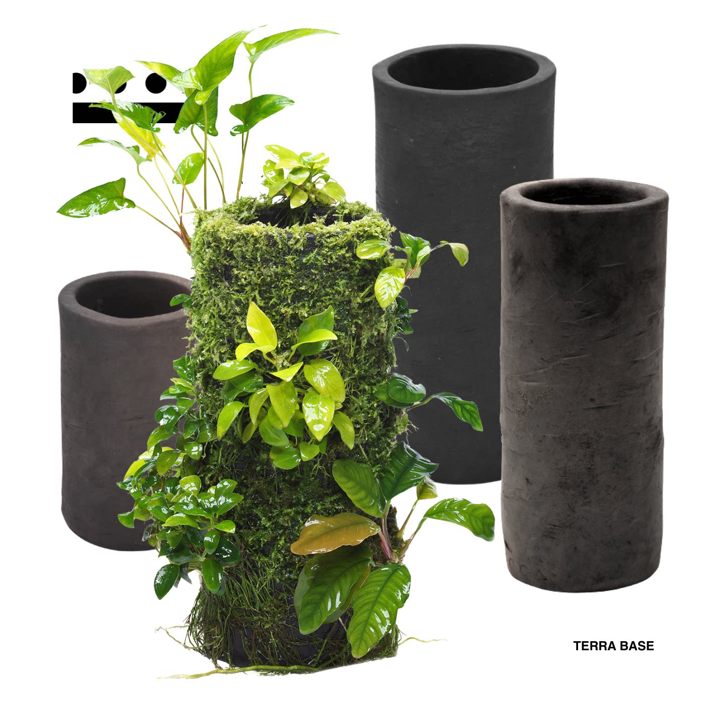 DOOA树形培养基附生植物筒