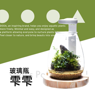 DOOA 玻璃瓶 雫雫 桌面景观天然热带迷你办公桌小型摆件ADA水族