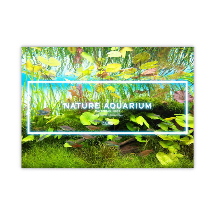 ada自然水景挂历2023年大阪展造景6座水景精美展示水草造景装饰画