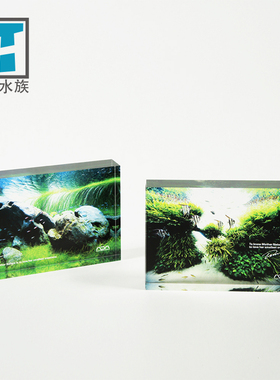 【ADA正品限量】and ADA亚克力制水景相框 桌摆  装饰 发圆通