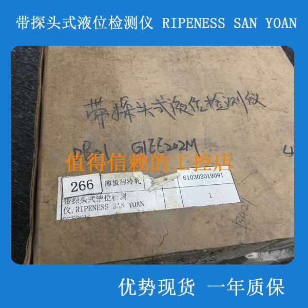 带探头式液位检测仪 ripeness san yoan 优势现货 欢迎询价