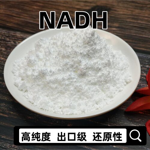 NADH高纯度线粒体素NAD+